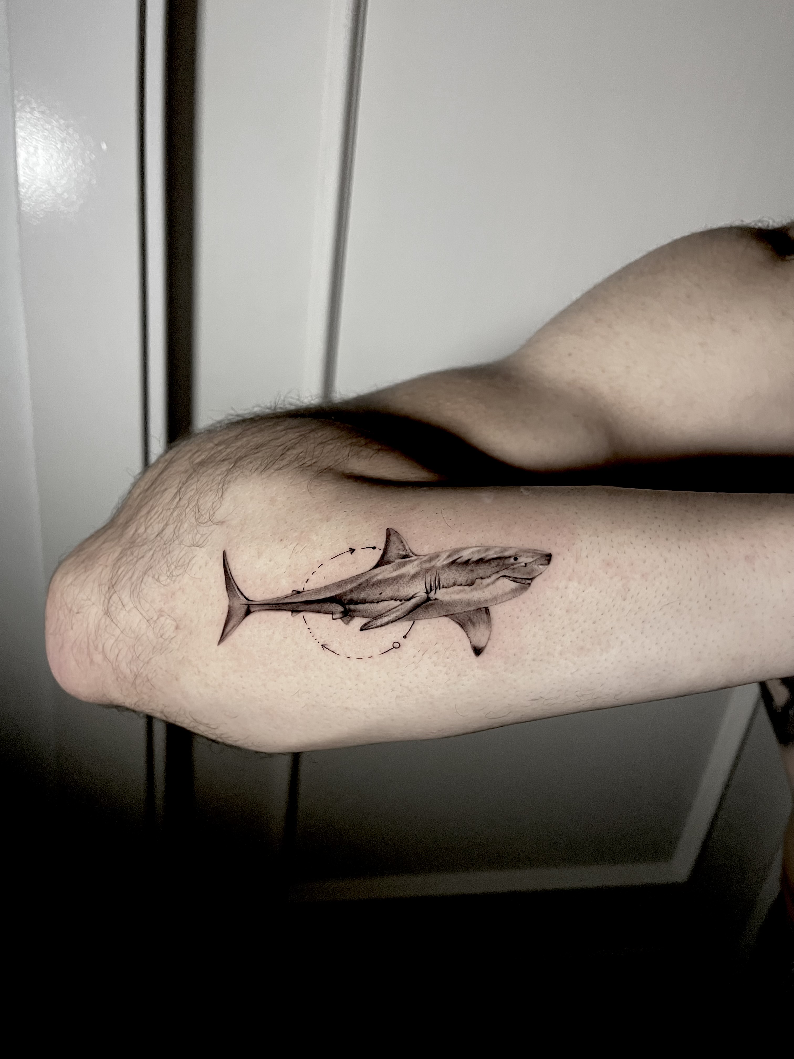 Microrealismo de tiburón en antebrazo – Captain Tattoo Cartagena